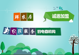 网页设计,北京网页设计,思恩网页设计,手机端网页设计